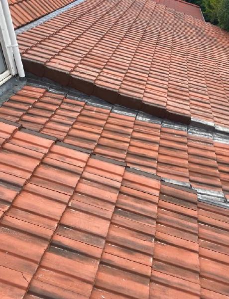 Pitch slate roofing project in South Devon